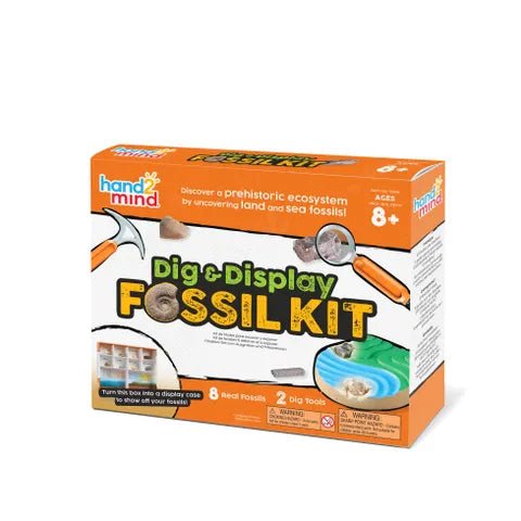 Hand2Mind Dig & Display Fossils Science Lab Kit