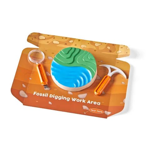 Hand2Mind Dig & Display Fossils Science Lab Kit - Image 3