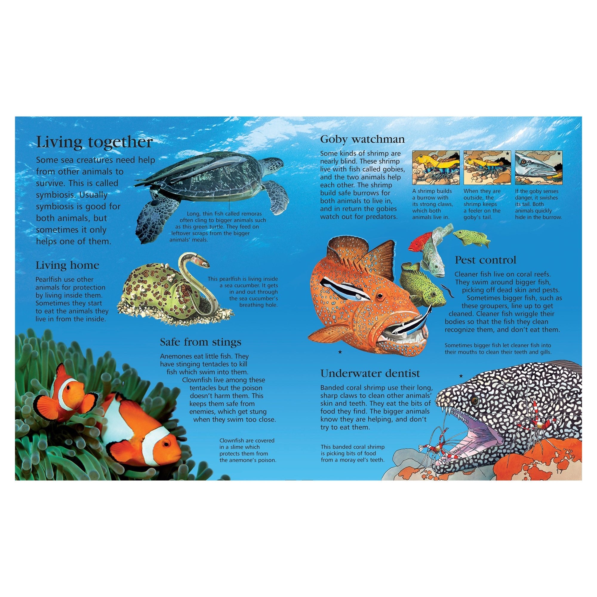 First Encyclopedia of Seas and Oceans - Image 4