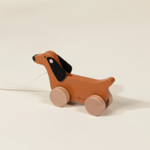 Coco Village Dog Pull Toy