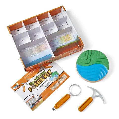 Hand2Mind Dig & Display Fossils Science Lab Kit - Image 2