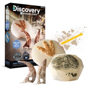 Discovery Toy Excavation Kit Dino 2pc