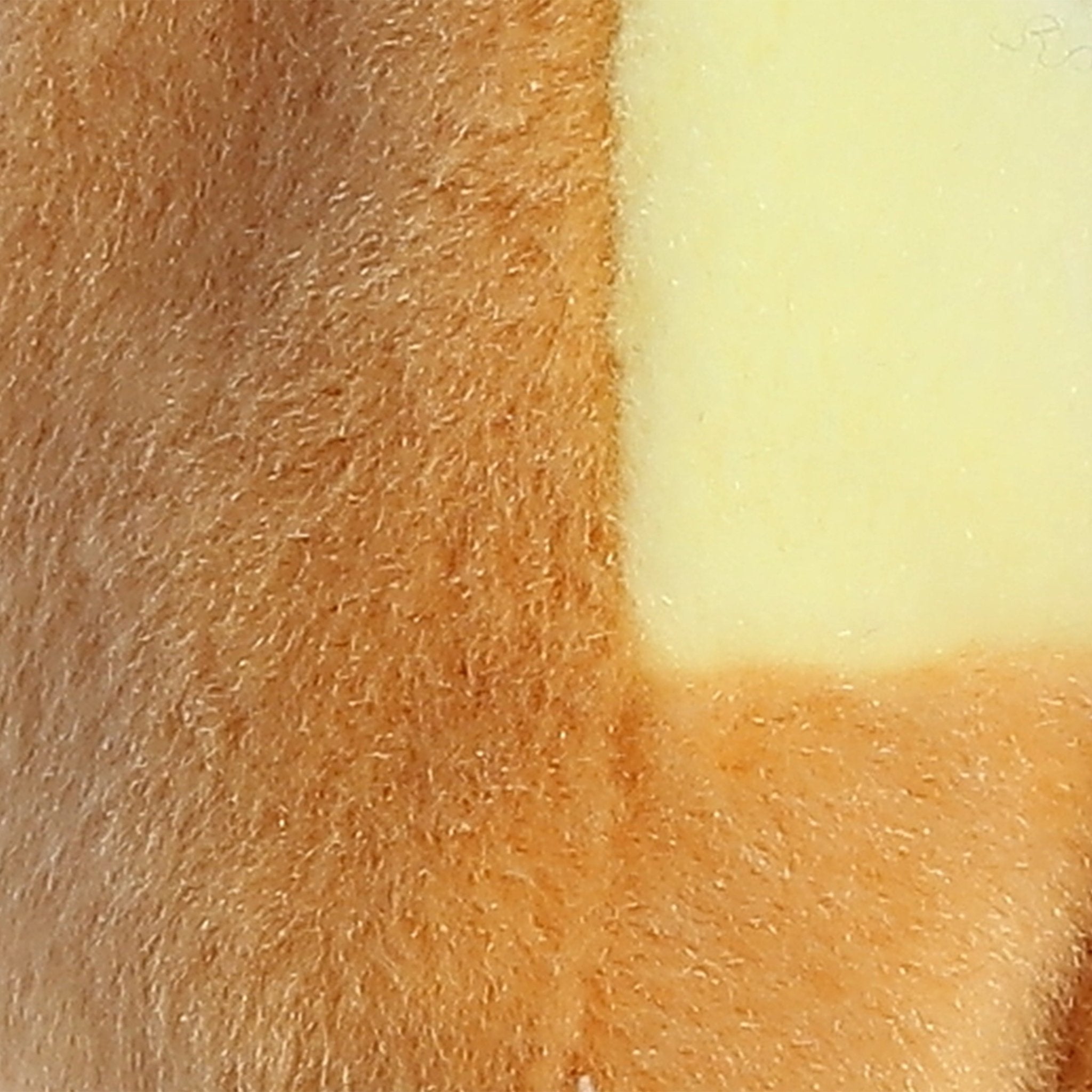 Palm Pals Peppa Pizza Slice 5" - Image 5