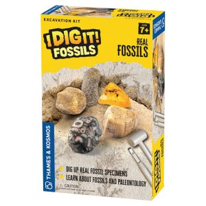 Thames & Kosmos I Dig It! Fossils - Real Fossils Excavation Kit