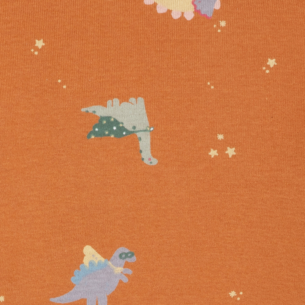 Long Sleeve 2 Piece Sleep Set TGFSL00 - Rose Hearts / 5y - Image 10