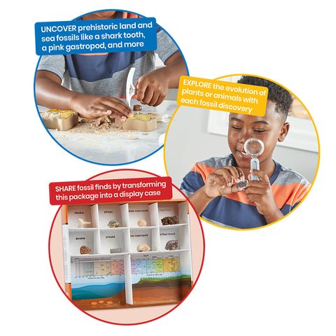 Hand2Mind Dig & Display Fossils Science Lab Kit - Image 4