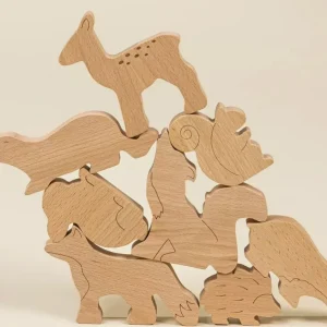 Premium Coco Village Wooden Balance Puzzle -Forest (8 pcs)