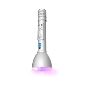 Hot iDance Voice Changer Party Mic