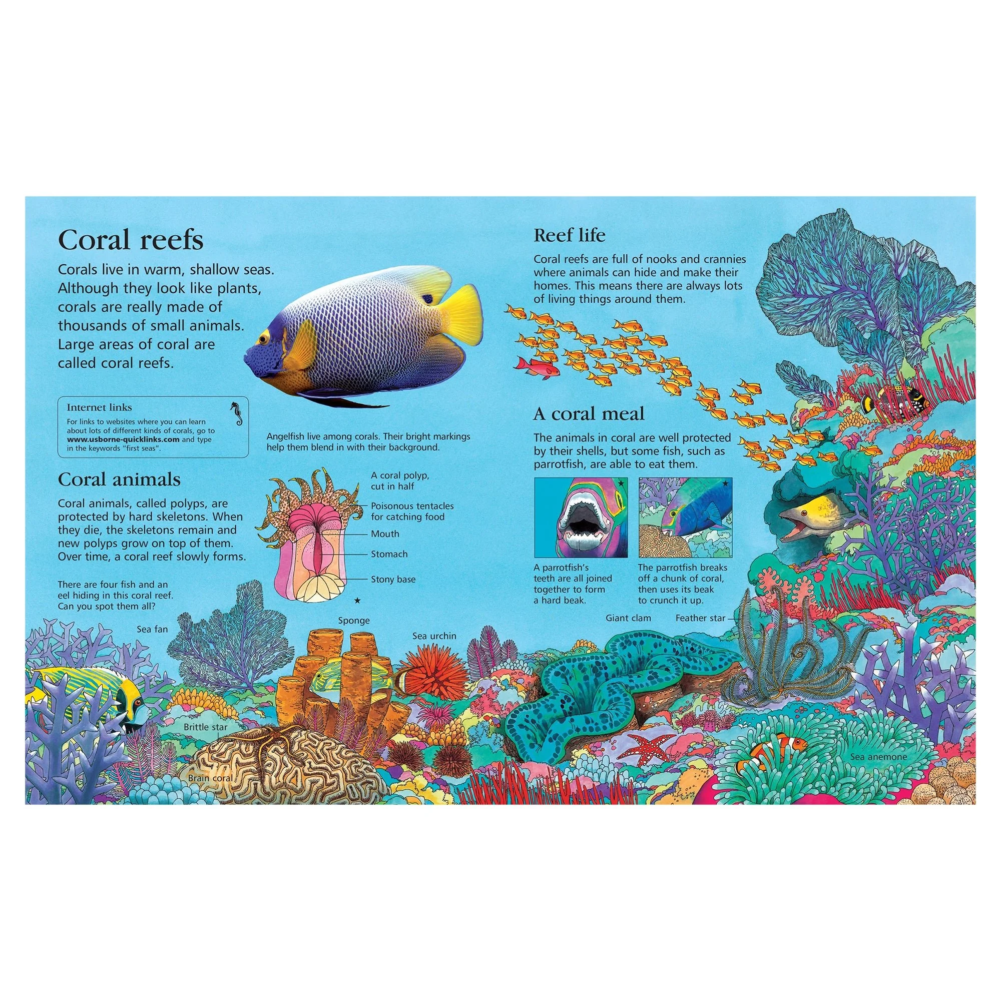 First Encyclopedia of Seas and Oceans - Image 3